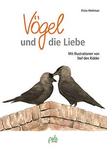 Vögel und die Liebe