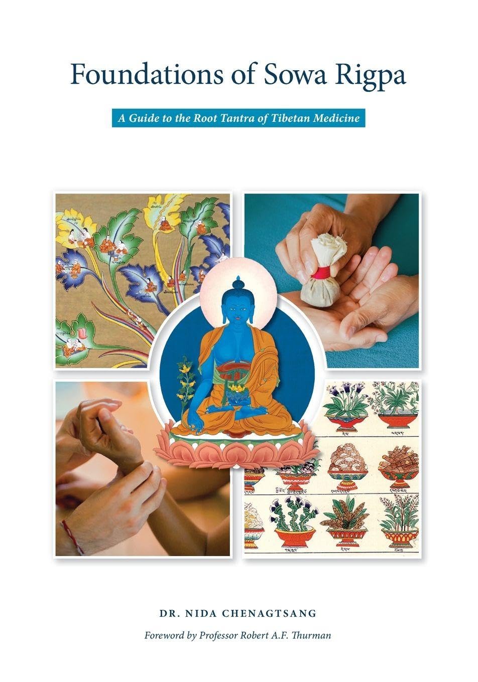 Nida Chenagtsang Foundations Of Sowa Rigpa, A Guide To The Root Tantra Of Tibetan Medicine