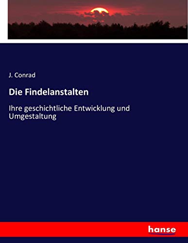 Die Findelanstalten: Ihre geschichtliche Entwicklung und Umgestaltung