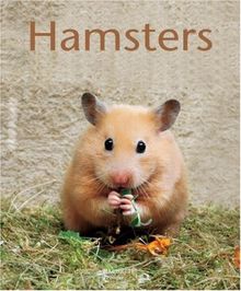 Hamsters