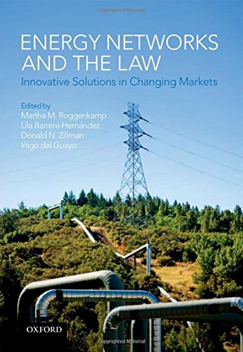 Energy Networks and the Law: Innovative Solutions in Changing Markets