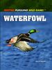 Waterfowl (Hunting: Pursuing Wild Game!)