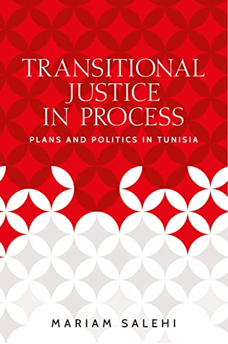 Transitional justice in process: Plans and politics in Tunisia (Identities and Geopolitics in the Middle East)