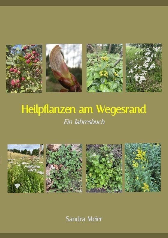 Heilpflanzen am Wegesrand