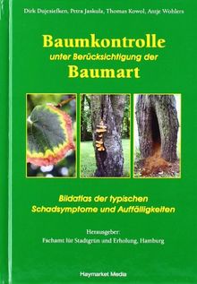 Baumkontrolle unter Berücksichtigung der Baumart: Typische Schadsymptome und Auffälligkeiten