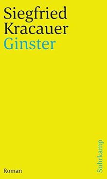 Ginster: Roman