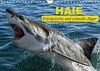 Haie. Erfolgreiche und schnelle Jäger (Wandkalender 2022 DIN A4 quer): Diese einzigartigen Lebewesen aus der Nähe betrachten (Monatskalender, 14 Seiten ) (CALVENDO Tiere)