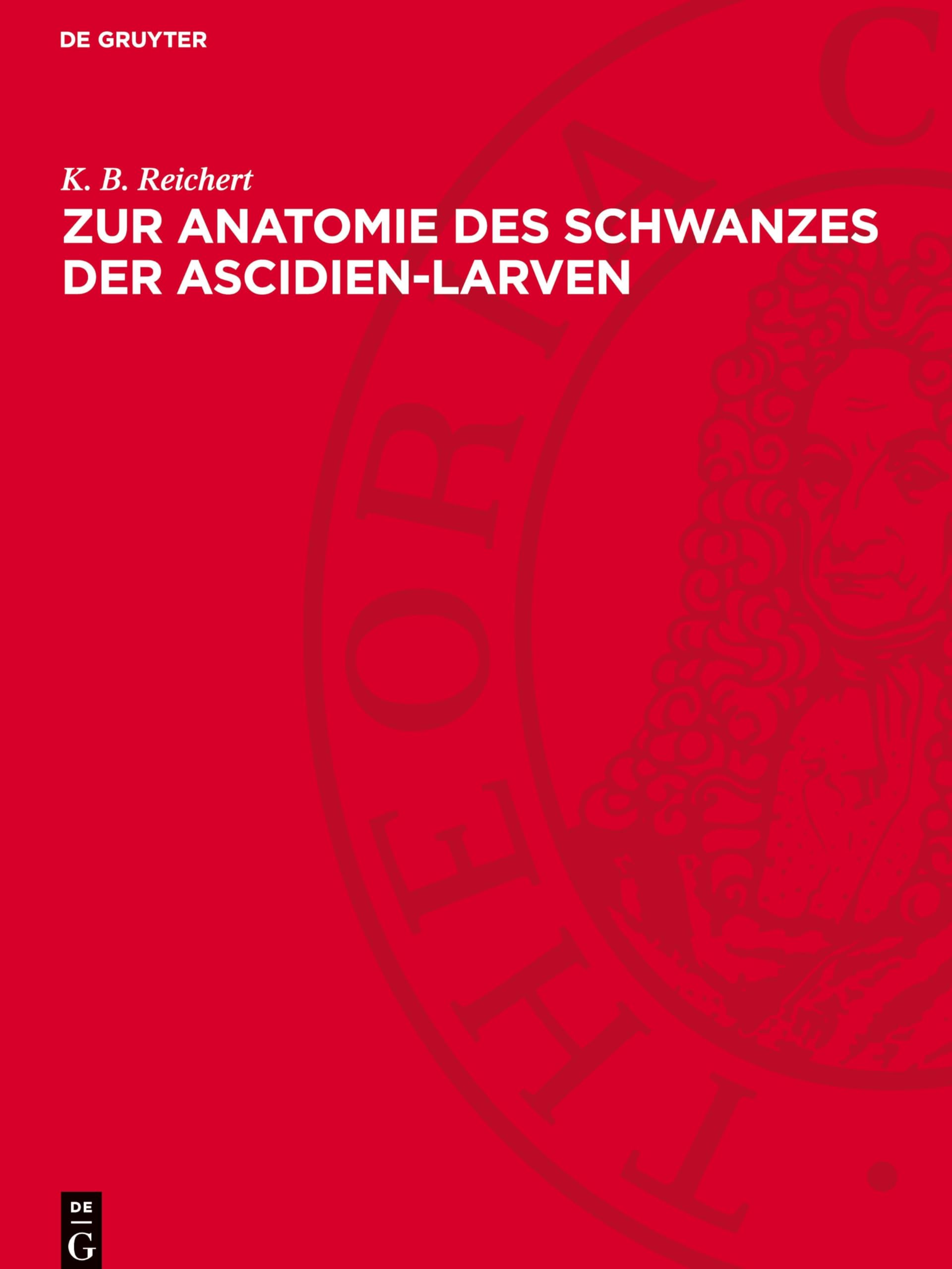 Zur Anatomie des Schwanzes der Ascidien-Larven: (Botryllus violaceus)