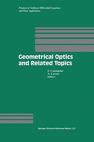 Geometrical Optics and Related Topics (Progress in Nonlinear Differential Equations and Their Applications)