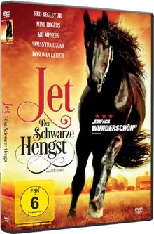 Jet, der schwarze Hengst