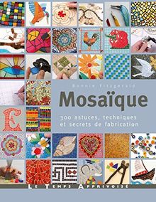 Mosaïque : 300 astuces, motifs et secrets de fabrication