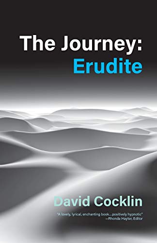 The Journey: Erudite