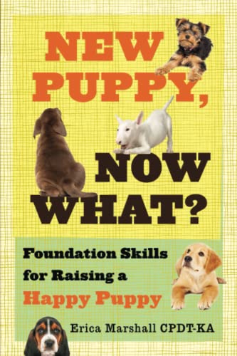 New Puppy, Now What?: Foundation Skills for Raising a Happy Puppy