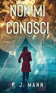 Non Mi Conosci: Le indagini del Commissario Scala (Vol.3)