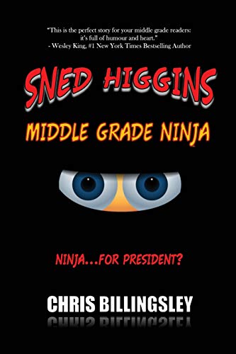 SNED HIGGINS: MIDDLE GRADE NINJA: Ninja for..President?