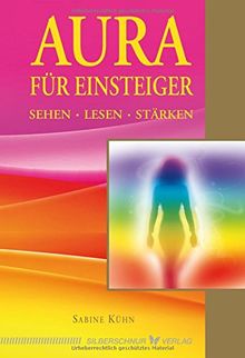 Aura für Einsteiger. Sehen, lesen, stärken