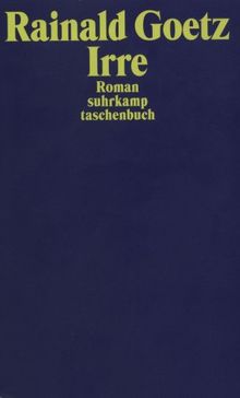 Irre: Roman (suhrkamp taschenbuch)