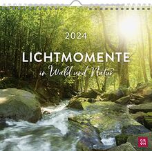 Lichtmomente in Wald und Natur 2024: Wandkalender mit Monatskalendarium