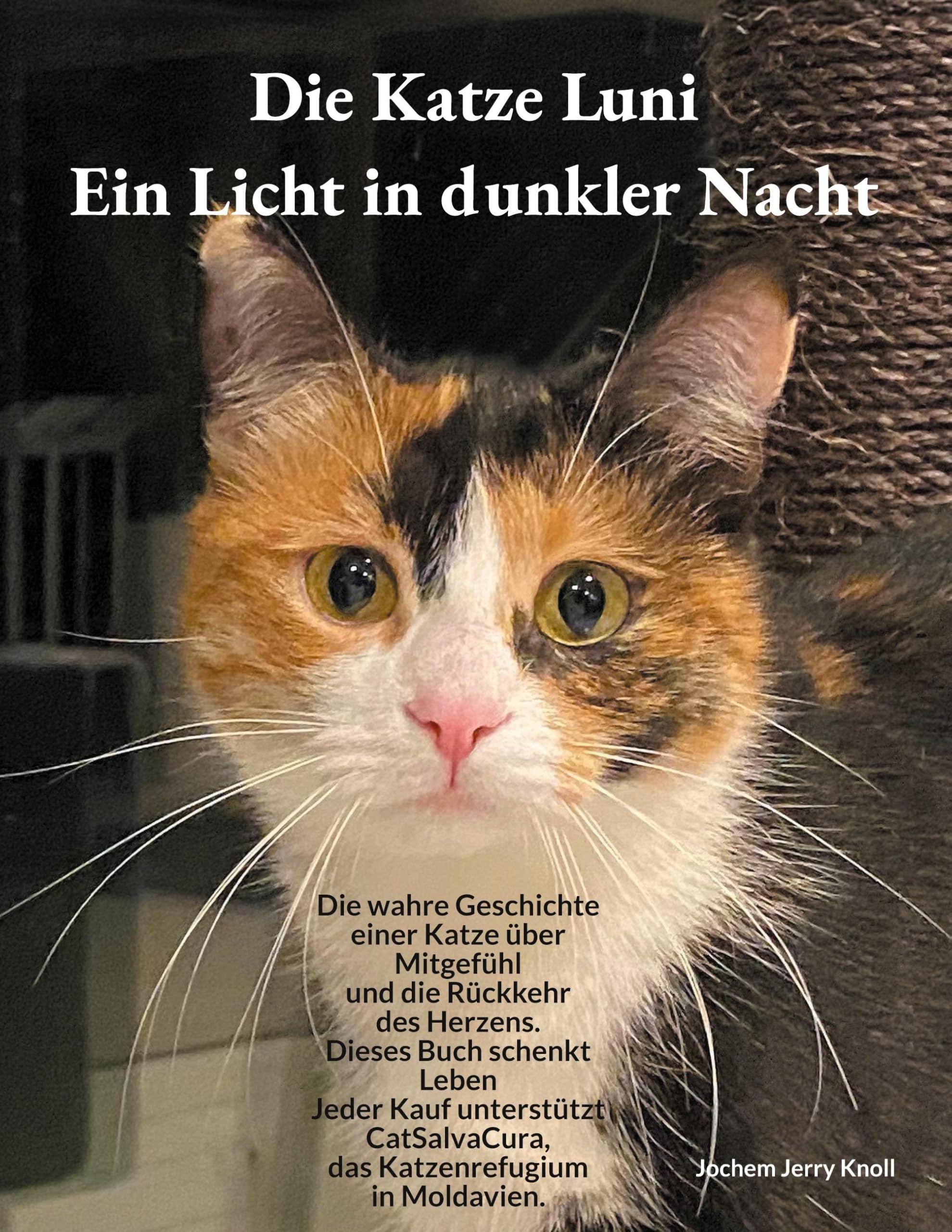 Die Katze Luni - Ein Licht in dunkler Nacht: Eine wahre Geschichte über Mitgefühl und die Rückkehr des Herzens
