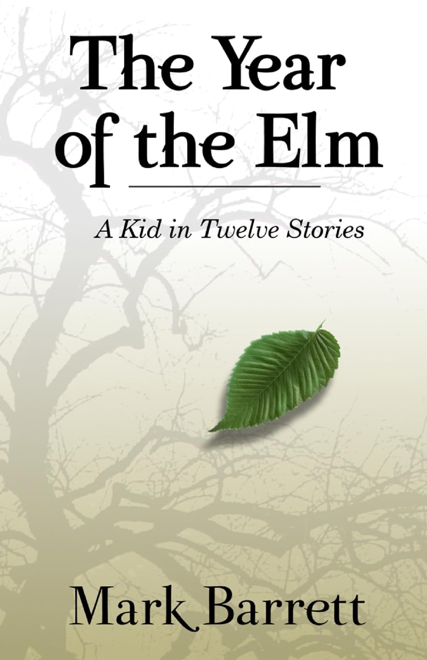 The Year of the Elm: A Kid in Twelve Stories