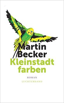 Kleinstadtfarben: Roman