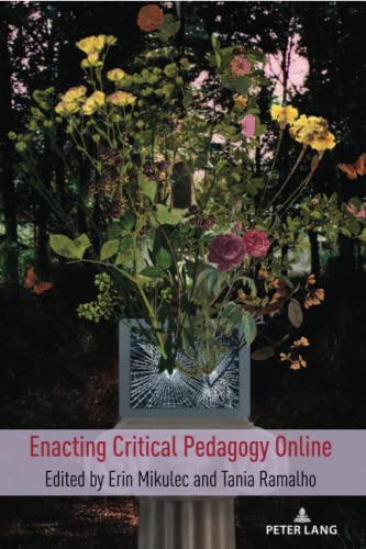 Enacting Critical Pedagogy Online (Counterpoints: Studies in Criticality, Band 533)