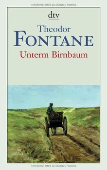 Unterm Birnbaum: Roman