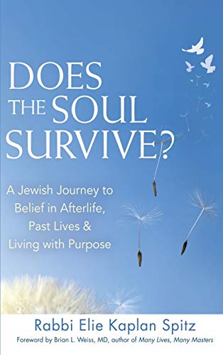 Does the Soul Survive? (2nd Edition): A Jewish Journey to Belief in Afterlife, Past Lives & Living with Purpose