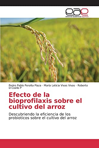 Efecto de la bioprofilaxis sobre el cultivo del arroz: Descubriendo la eficiencia de los probioticos sobre el cultivo del arroz