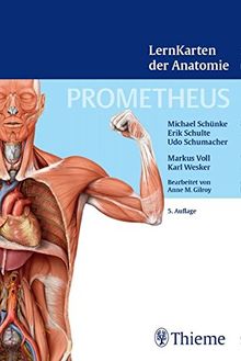 PROMETHEUS LernKarten der Anatomie