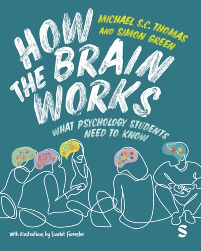 How the Brain Works: What Psychology Students Need to Know