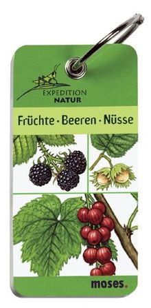 Expedition Natur. Früchte Beeren Nüsse