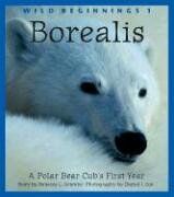 Borealis: A Polar Bear Cub's First Year (Wild Beginnings, Band 1)