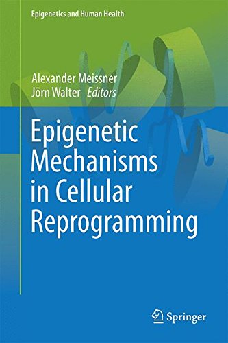 Epigenetic Mechanisms in Cellular Reprogramming (Epigenetics and Human Health)