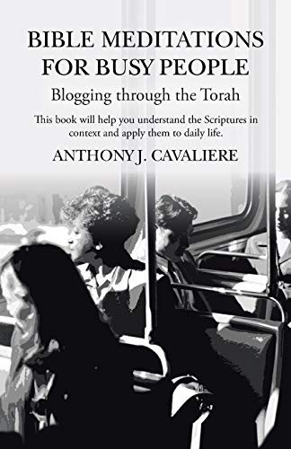 Bible Meditations for Busy People: Blogging through the Torah