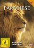 Wilde Paradiese - Ngorongoro: Afrikas Wiege des Lebens / Patagonien: Die Küste der Riesen [2 DVDs]
