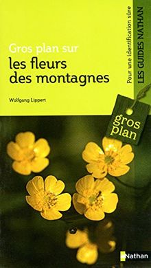 Fleurs des montagnes