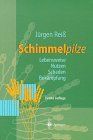 Schimmelpilze: Lebensweise, Nutzen, Schaden, Bekämpfung