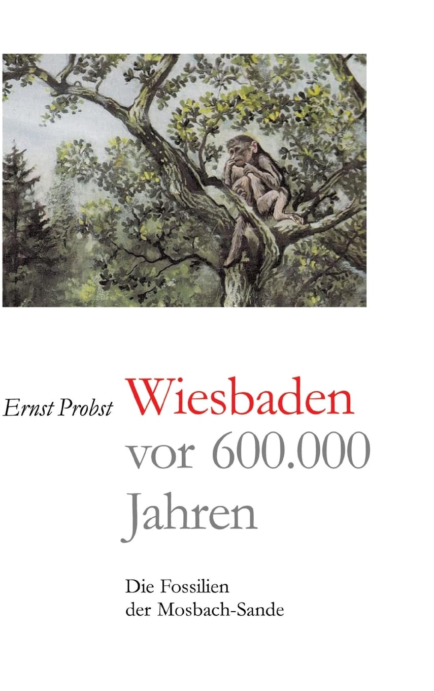 Wiesbaden vor 600.000 Jahren: Die Fossilien der Mosbach-Sande