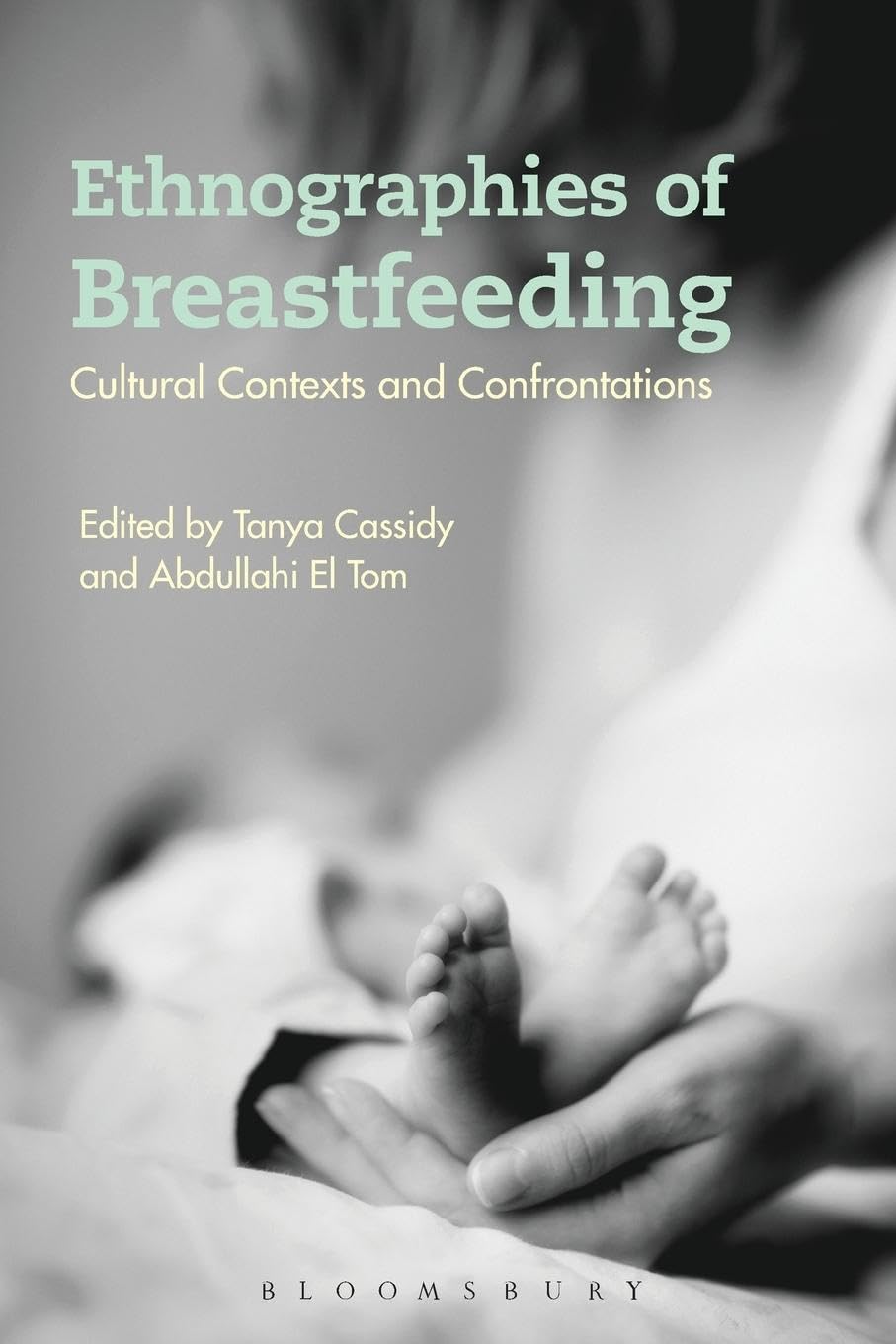 Ethnographies of Breastfeeding: Cultural Contexts and Confrontations (Criminal Practice Series)