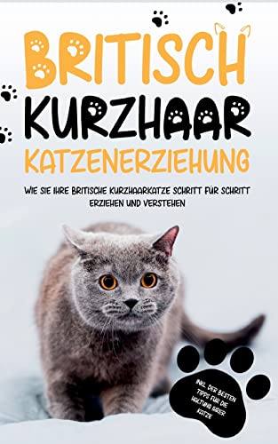 Britisch Kurzhaar Katzenerziehung: Wie Sie Ihre britische Kurzhaarkatze Schritt für Schritt erziehen und verstehen - inkl. der besten Tipps für die Haltung Ihrer Katze