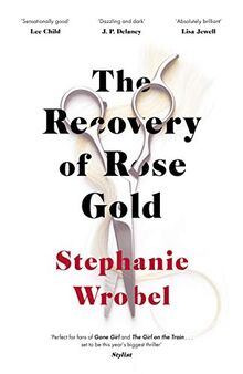 The Recovery of Rose Gold: The page-turning psychological thriller