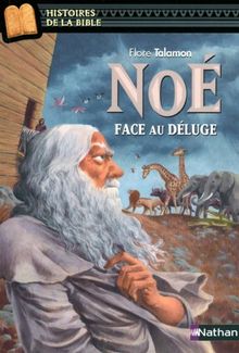 Noé face au déluge de Talamon, Flore, Davidson, Marie-Thérèse | Livre | état bon