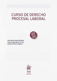 Curso de derecho procesal laboral (Manuales, Band 1)