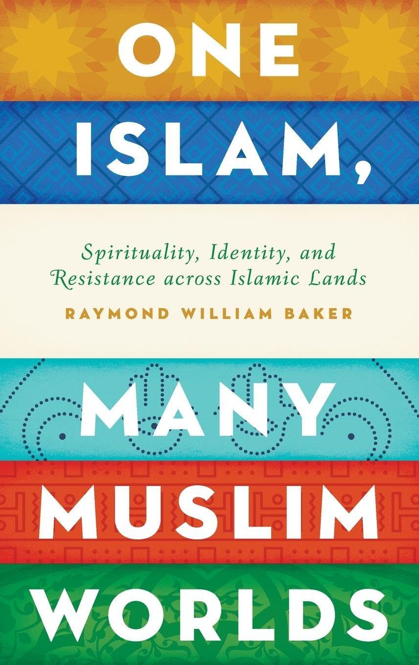 One Islam, Many Muslim Worlds: Spirituality, Identity, and Resistance Across Islamic Lands (Religion and Global Politics)