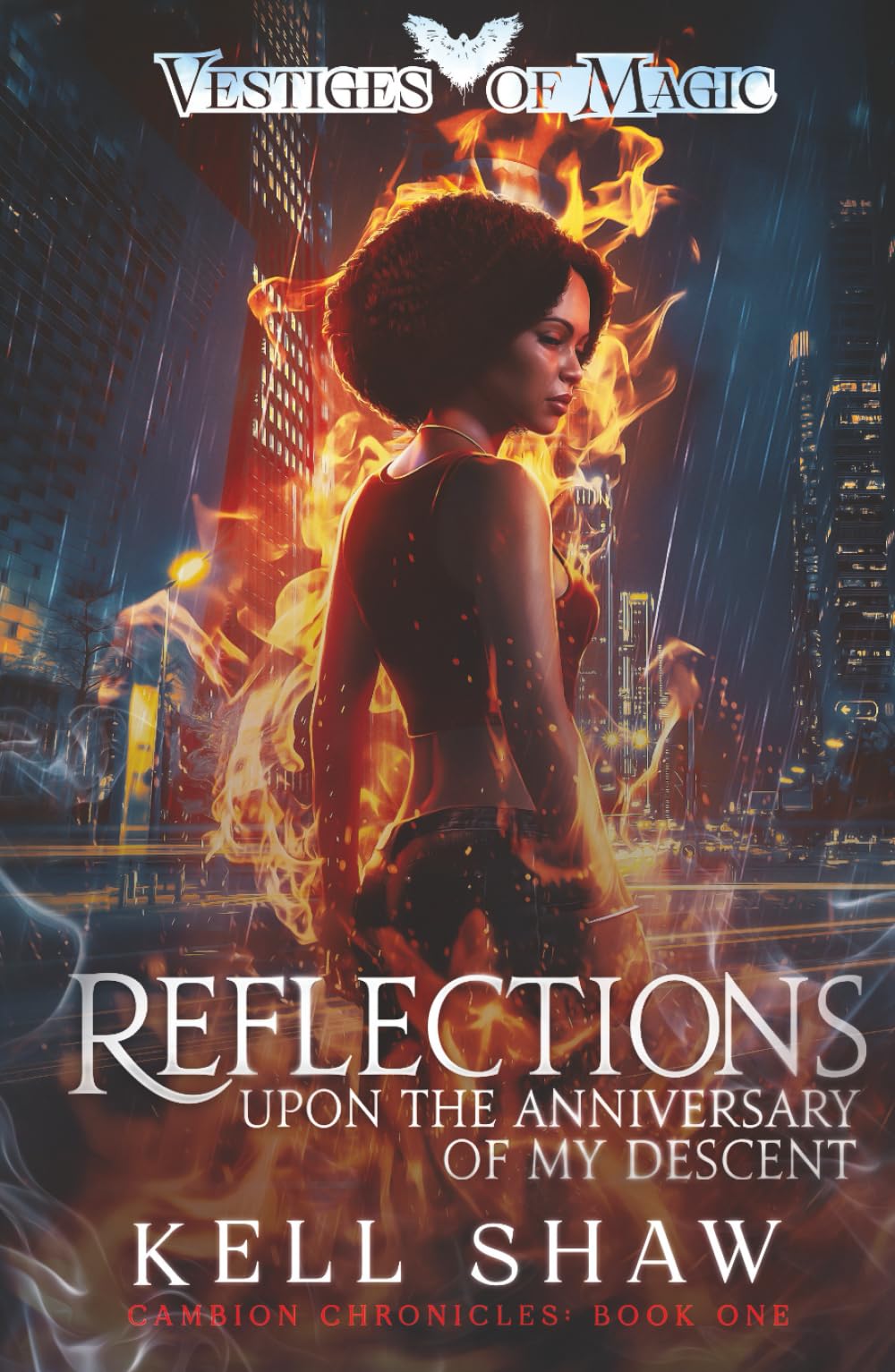 Reflections Upon the Anniversary of My Descent (The Cambion Chronicles, Band 1)
