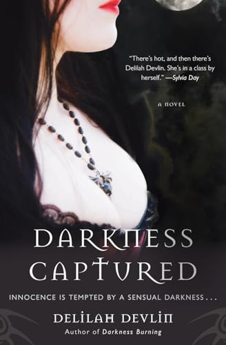 Darkness Captured: A Novel (Dark Realm Series, 4)
