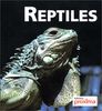 Reptiles (Mini Briques)