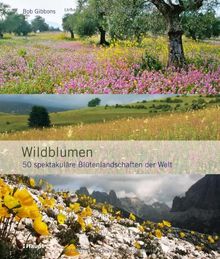 Wildblumen: 50 spektakuläre Blütenlandschaften der Welt