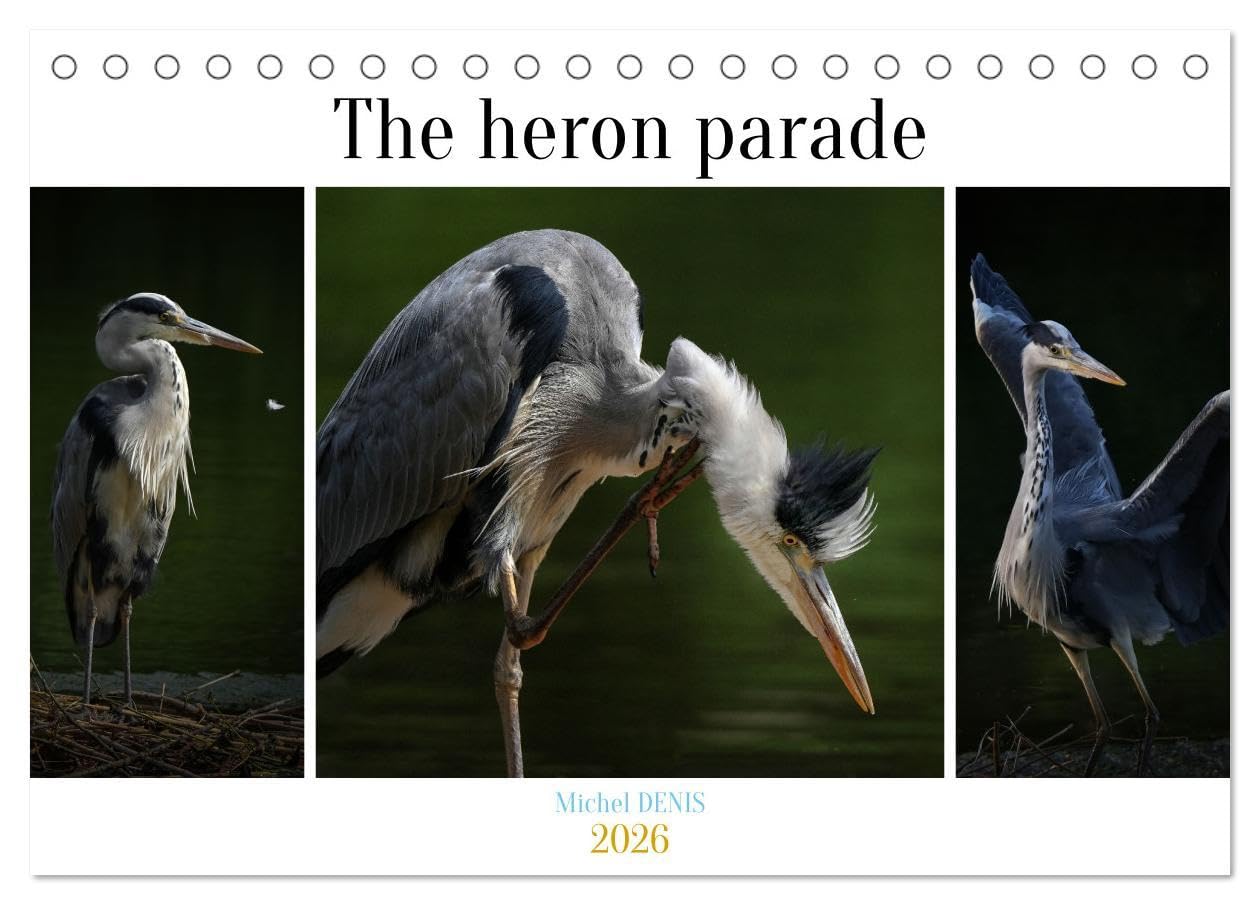 The heron parade (Desk Calendar 2026 DIN A5 landscape), CALVENDO 12 Month DeskCalendar: Various pictures of a heron in a pond